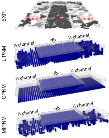 Fig. 8. Liquid water distributions for a standard operating temperature and fully humidified conditions in the channel (T bp = 80 °C, i = 0.75 Acm 2 , RH ch = 100%).