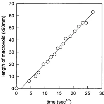 Figure  11  Optical micrographs of  morphology  inside  macrovoid  for polymer solution containing 15  w t   % poly-  sulfone
