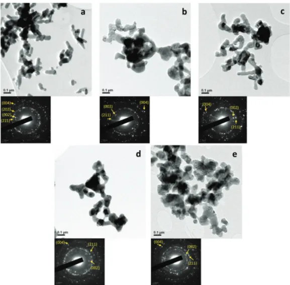 Fig. 5 TEM pictures of HAp (a) and TiHA (b) at high magnification showing NPs nanopores.