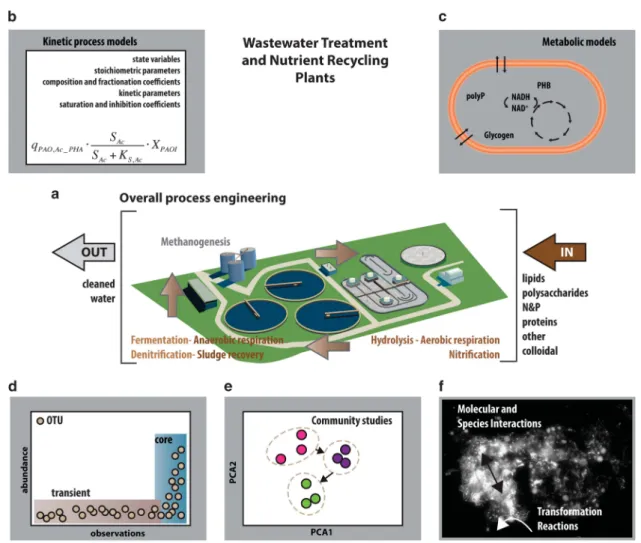 Figure 3 MC analysis and predictive modelling in wastewater treatment and nutrient recycling facilities (WWTP)