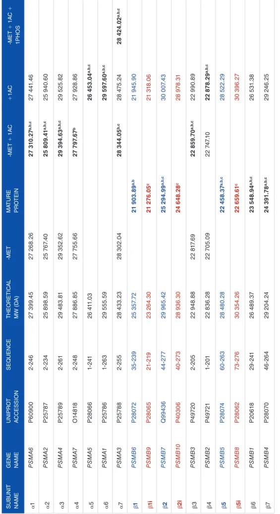 Table 1. Theoretical molecular weights of the subunits composing the 20S core particle of the proteasome