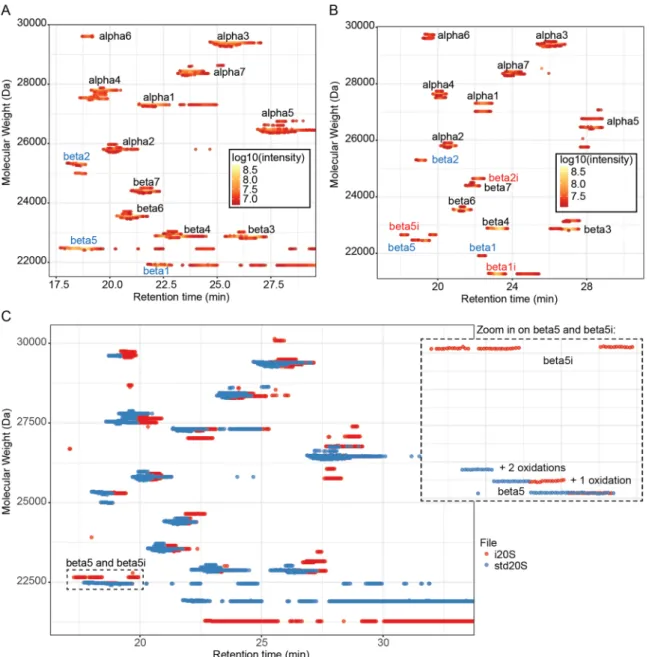 Figure 2.  Comparison of commercial std20S and i20S using intact protein MS: (A, B) MS trace of the subunits of the std20S (A, threshold: 35%) and i20s  (B, threshold: 16%) visualized with VisioProt-MS in MS mode