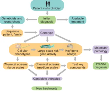Fig. 2. Pragmatics of interfacing the patient with current research.