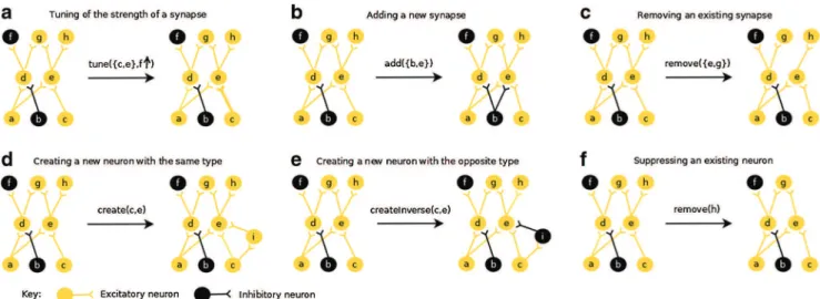 Fig. 4 Examples of cooperative behaviors for modifying the structure of the network. In (a), the strength of the synapse {c, e}, shown with a thicker yellow line, is increased