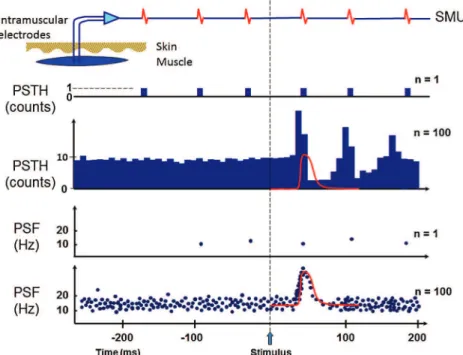 Fig. 1 PSF and PSTH methods: To examine how a sensory nerve (afferent) that transmit information from a sensory receptor (such as touch, temperature, etc) is connected to a motor neuron, we stimulate the nerve and record the response of the motor neuron to