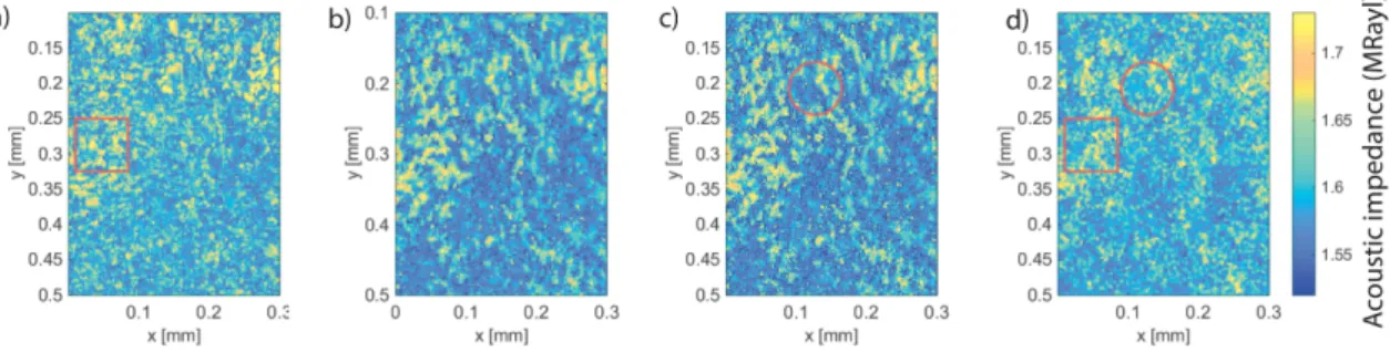 Fig. 3. Zoomed-in Fig. 2 from the white rectangle in Fig. 2a.