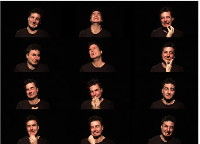 Figure  01.  Chameleon  Project,  Video  portrait  06,  sadness  channel