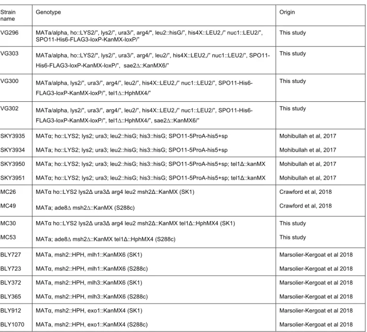 Table S1. Strains used in this study. 