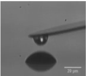 FIG. 2. Side view of a cantilever droplet before coalescence with a sessile droplet.