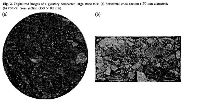 Fig. 2. Digitalized images of a gyratory compacted large stone mix: (a) horizontal cross section (150 mrn diameter);