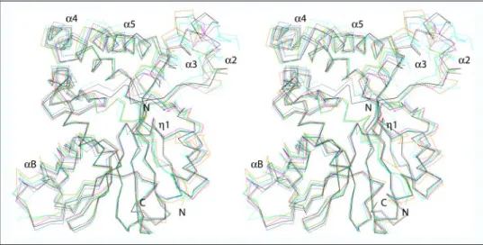 FIGURE 5. Structural variation among mycolic acid SAM-MTs. Stereo view of the superimposed