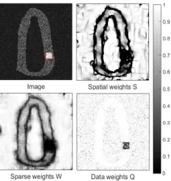 Fig. 4. Synthetic cardiac image and its sparse weights W, spatial weights S and data weights Q