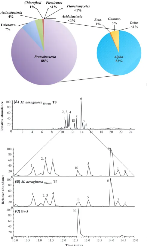 Figure 2. Relative abundance of major  bacterial phyla.