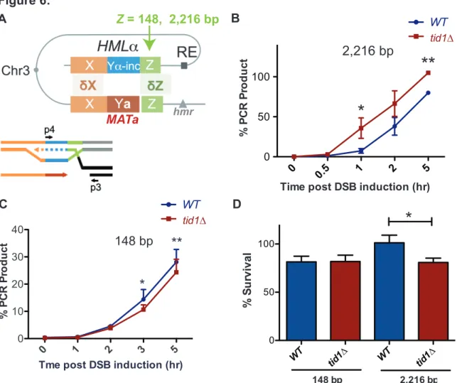 Figure 6: Tid1 affects kinetics of D-loop extension and cell survival depending on the length  of homology between the donor and MAT during mating type switch 