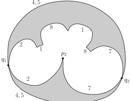 Figure 6. Combinatorics of the intersection of the spinal sphere ∂ ∞ C with the solid torus U 