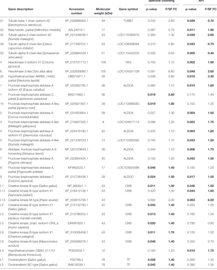 TABLE 1 | Differentially abundant proteins between fertile (F) and subfertile (SF) meat-line chickens identified by GeLC-MS/MS.