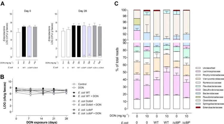 FIG 3 Exposure to DON does not impact intestinal colonization by E. coli and the overall composition of the intestinal microbiota