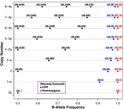 Figure 1: Schematic illustration of the correspondence between the tumoral mutation and the (baf, lrr) values assuming 0 ≤ u ≤ v 