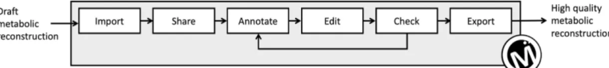 Figure 1. Metabolic network curation steps into MetExplore.