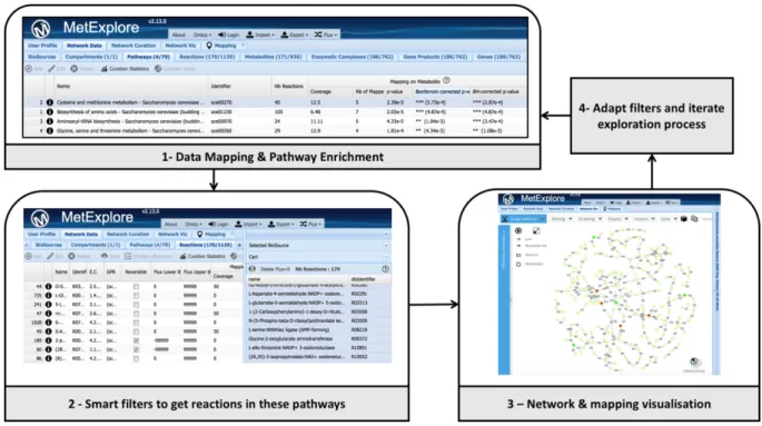 Figure 2. Analysis cycle combining omics data mapping and sub-network extraction from grids and network visualisation.