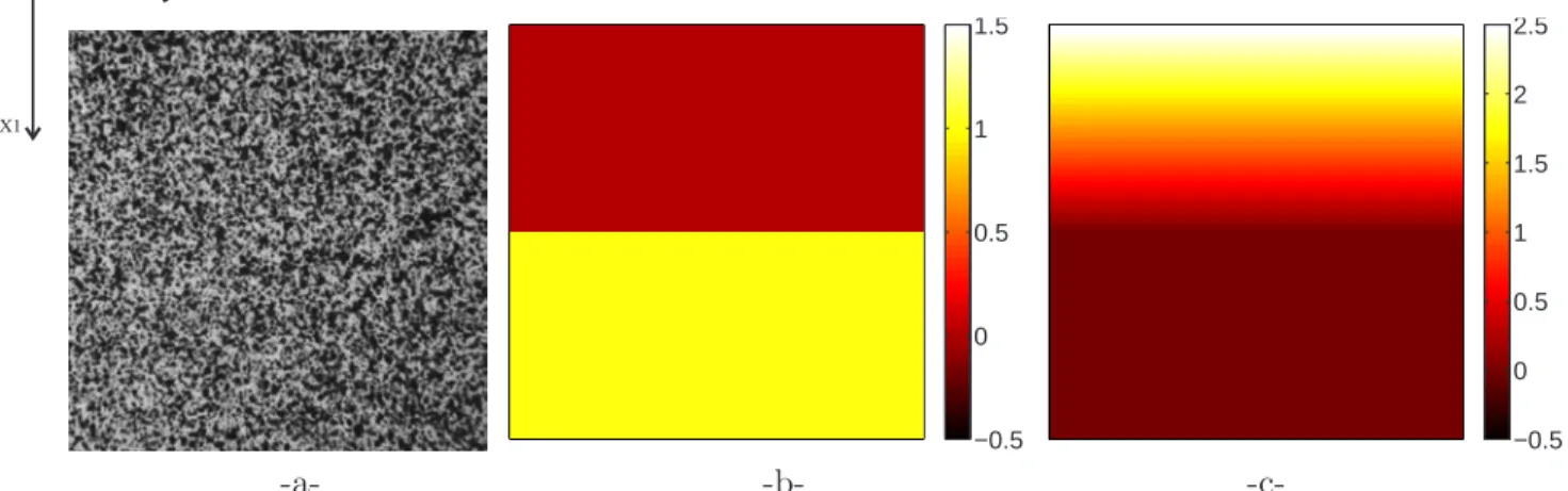 Figure 1. Reference picture for the noise sensitivity analysis (a), horizontal prescribed displacement for the strong discontinuity analysis (b) and vertical prescribed displacement for the weak discontinuity analysis (c).