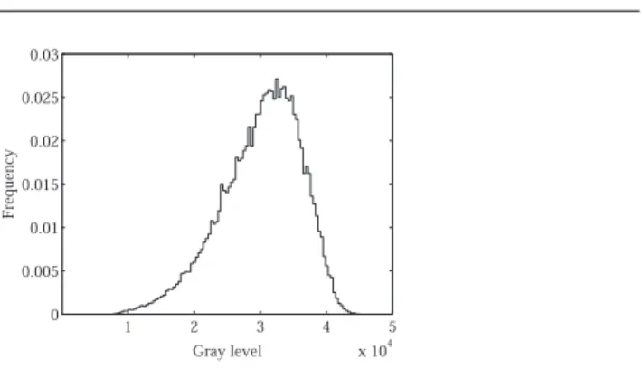 Fig. 2. Histogram of gray levels in the original image.