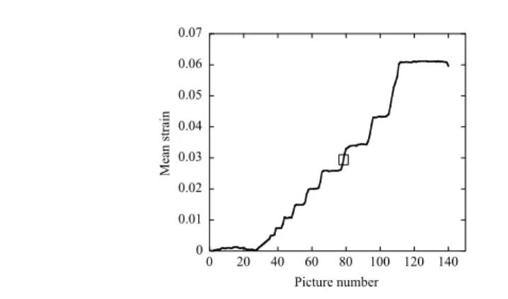 Fig. 7. Mean strain for a region of interest of 1000 × 700 pixels as a function of the number of picture