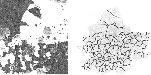 Figure 10: Texture in a vertical section from a depth of 27.4 m. The diagram at right shows the  configuration of the grain assemblage