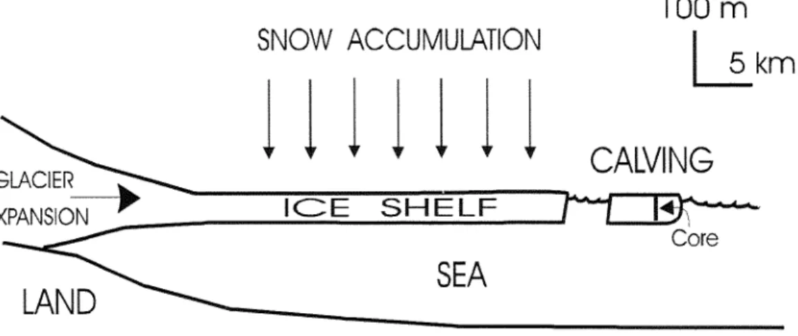 Figure 1: Schematic representation of an ice shelf. The scale is that of the Ward Hunt ice shelf