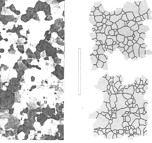 Figure  9:  Texture in a vertical section from a depth of 32.4 in. The diagram at right shows the  configuration of the grain assemblage