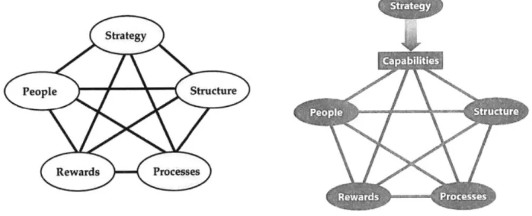 Figure 5  Variations of  Star Model  (Galbraith, 2002)
