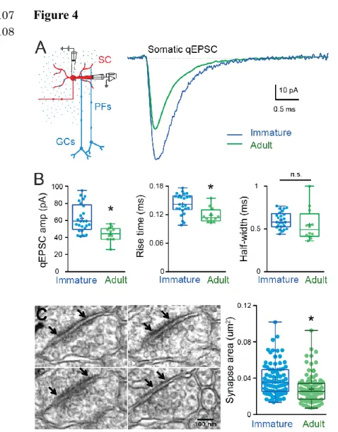 Figure 4. Developmental changes in somatic qEPSC properties and somatic PSD size. (A) Left 1110 