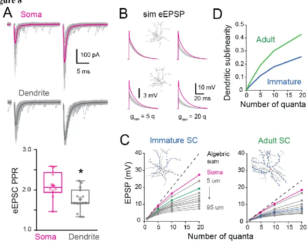 Figure 8 : Location dependence of short-term plasticity and sublinear behavior in immature SC 1180 