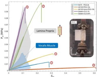 Figure  1:  Tensile  behavior  of  the  Ge-GA  and  PEG-NHS  hydrogels  (Piola-Kirschoff stress 