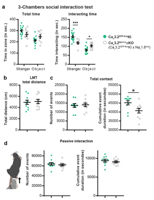 Figure Supplementary 1: C-LTMRs hypo excitability via Ca v 3.2 deletion reduces social  700 
