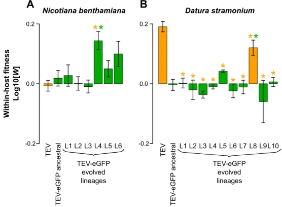 Fig. 1.5. Within-host competitive fitness of the evolved and ancestral lineages. Fitness (W)  determined by competition experiments and RT-qPCR of the different viral genotypes with  respect to a common competitor; TEV-mCherry