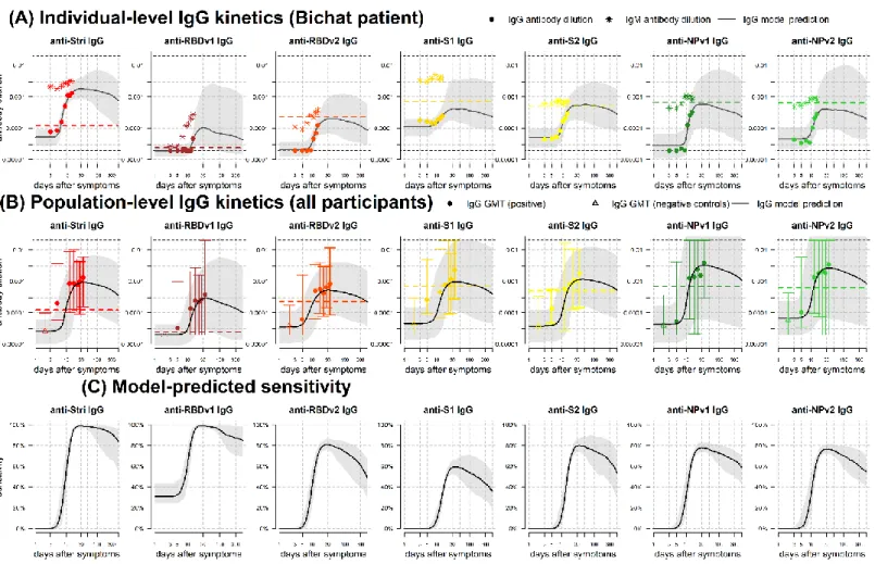 Figure  3:  IgG  antibody  kinetics.  (A)  Measured  IgG  antibody  dilutions,  shown  as  points,  from  a  patient  in  Hôpital  Bichat  followed  longitudinally