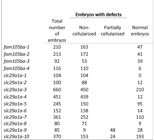 Table 1 (please refer to pg. 10): Penetrance of fam105ba and slc29a1a mutant phenotypes 