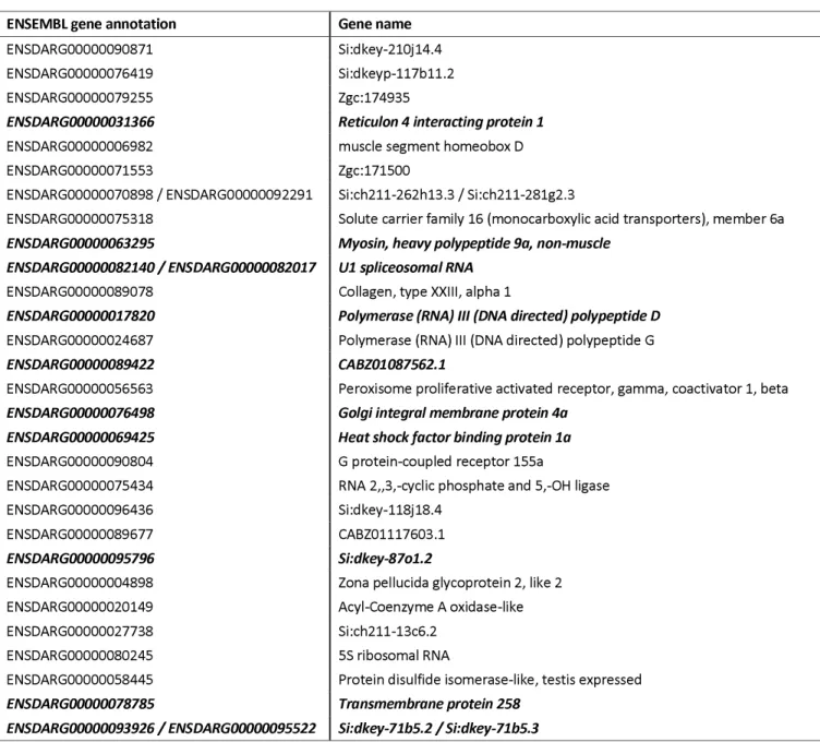 Table 2 (please refer to pg. 13): List of 29 genes that are associated with survival. 