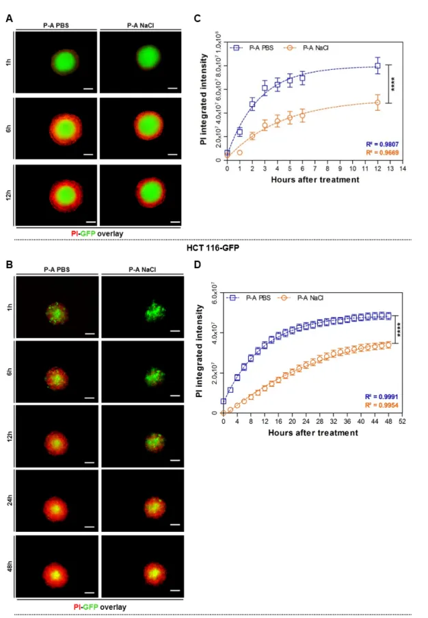 Figure 2. PI uptake kinetics of spheroids treated with plasma-activated PBS (P-A PBS) and plasma- plasma-activated NaCl (P-A NaCl)