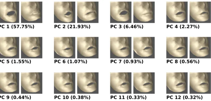 Figure 3: The 12 first principal components of the facial data and the percentage of variance each of them explains