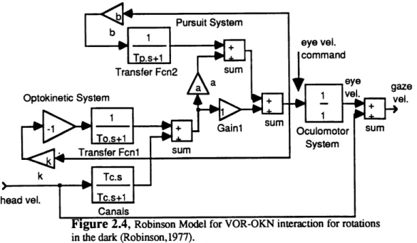 Figure 2.4,  Robinson  Model  for VOR-OKN  interaction  for rotations in  the dark (Robinson, 1977).