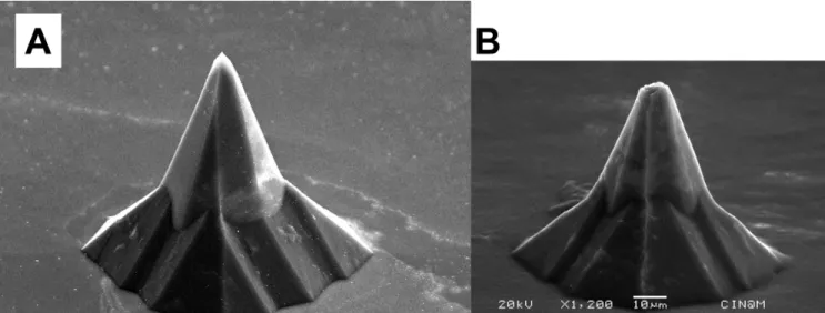 Figure 10. SEM images of silicon pyramid needles A) before and B) after worm experiments
