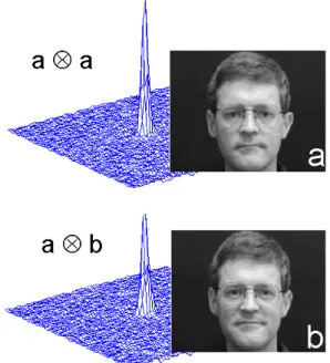 Figure 4.  Auto- and cross-correlation peaks from the face recognition system.