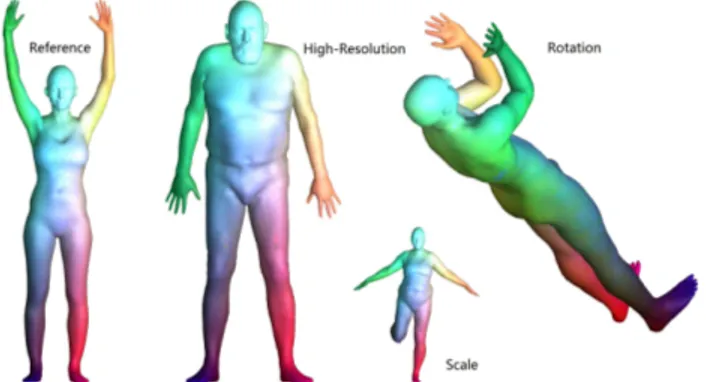 Figure 1. Shape matching results between the reference shape (6890 points) and different shapes with high-resolution (12K points) and other incompatible structures.