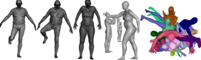 Figure 4. Sample shapes from our dataset. The three models on the left have different resolutions (6890, 8K, and 15K) and  trian-gulations