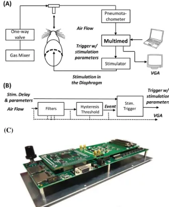 Figure 1.   The rodent model setup for flow-phase triggered closed-loop  diaphragmatic pacing