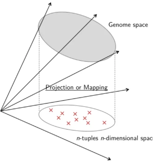 Figure  4  -  A  set  of  n-tuples  is  extracted  from  the  genomic  data-structure  by  projecting  genomic  subsequences  on  the  n-tuples  n-dimensional  space