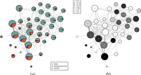 Figure 4.3.1: The giant component divided into 37 clusters. (a) Each disk of representation corresponds to one cluster and has an area proportional to the number of persons (original vertices) gathered in the associated cluster