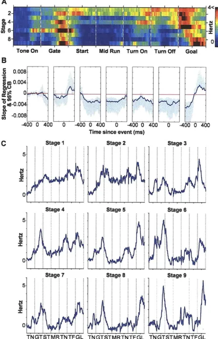 Figure 2.  Average  normalized  per trial  spike rates  across training.  A,  Task responsive medium spiny  neurons